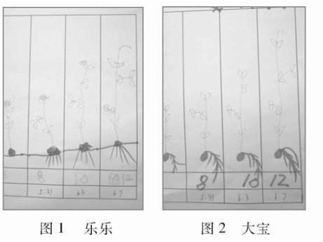 圖標(biāo)在科學(xué)觀察“種植豌豆”活動中的思考
