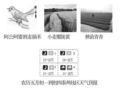 從認知維度審視中高考語文命題