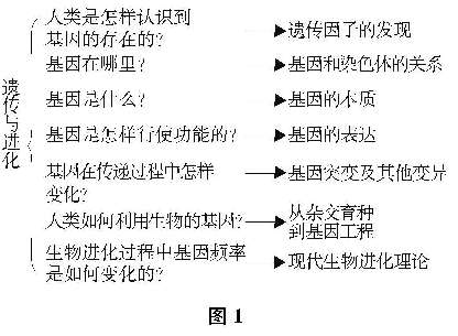 讓生物課堂彰顯邏輯魅力