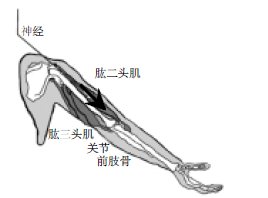 FlashӮǒW(xu)ͻyc