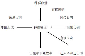 談?wù)動(dòng)绊懛N群數(shù)量特征概念圖心得