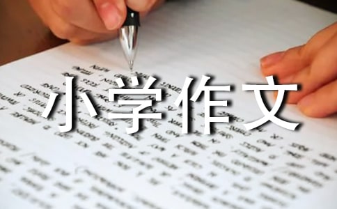 xСW(xu)3004ƪ