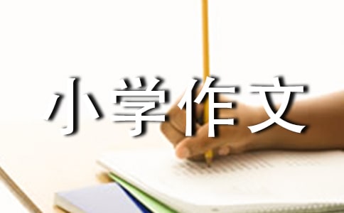 (sh)áСW(xu)ƪ