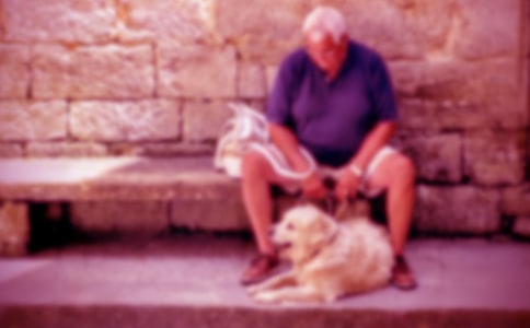 �����á���������������ƪ