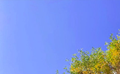 (sh)õĜܰ簲ZZ29